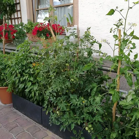 Appartement Landhaus Auernigg